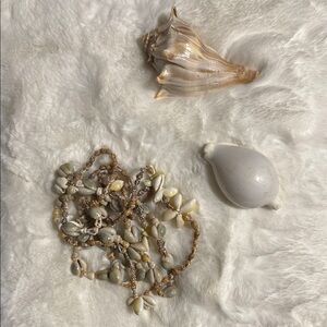 Boho Shell Necklace & Seashells